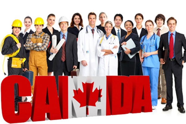ویزای کار کانادا 2021(شرایط و هزینه)